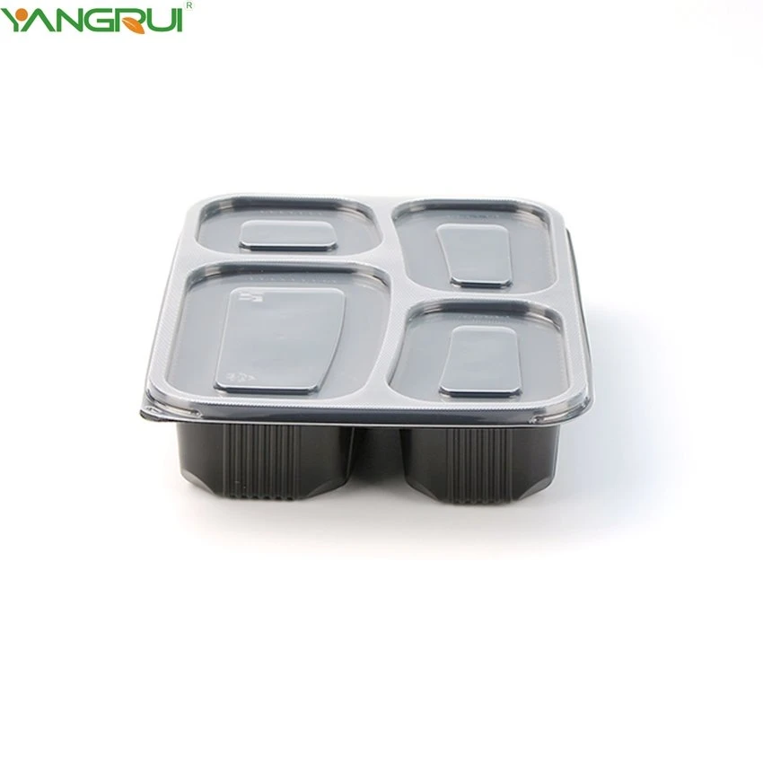 bento box5 bento box5