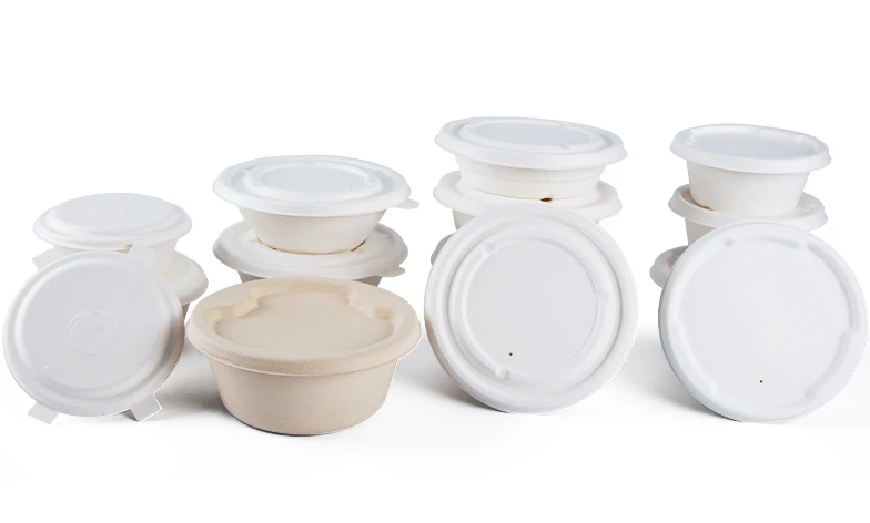 compostable lunch box