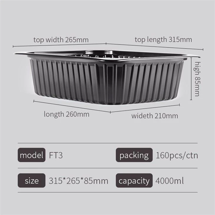 Disposable PP Plastic Big Hot Food Tray