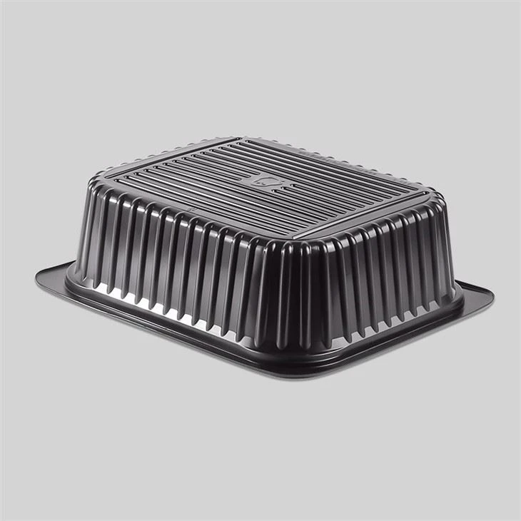 Disposable PP Plastic Big Hot Food Tray