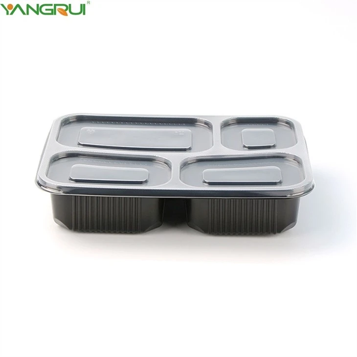 Food Bento Box