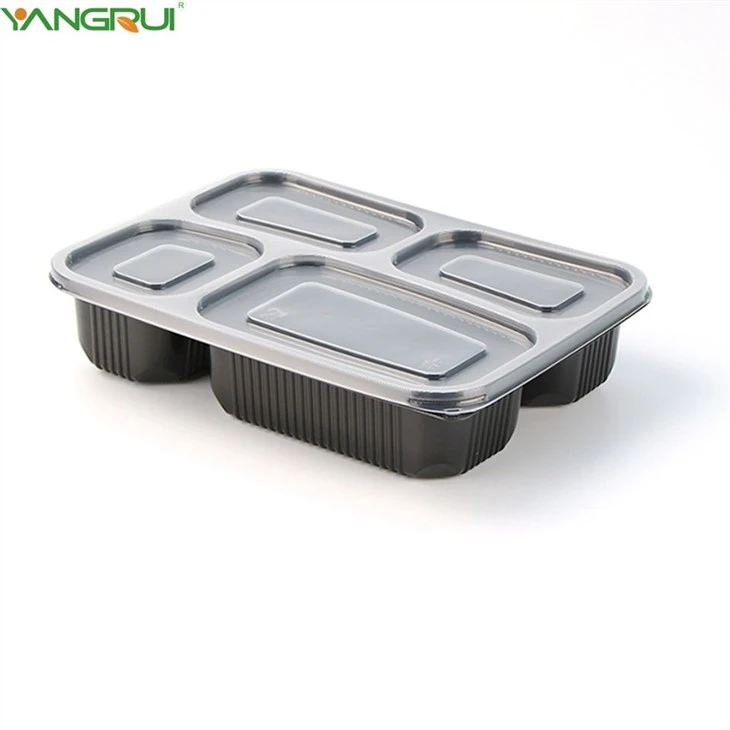 Food Bento Box