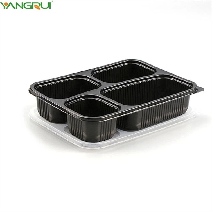 Food Bento Box