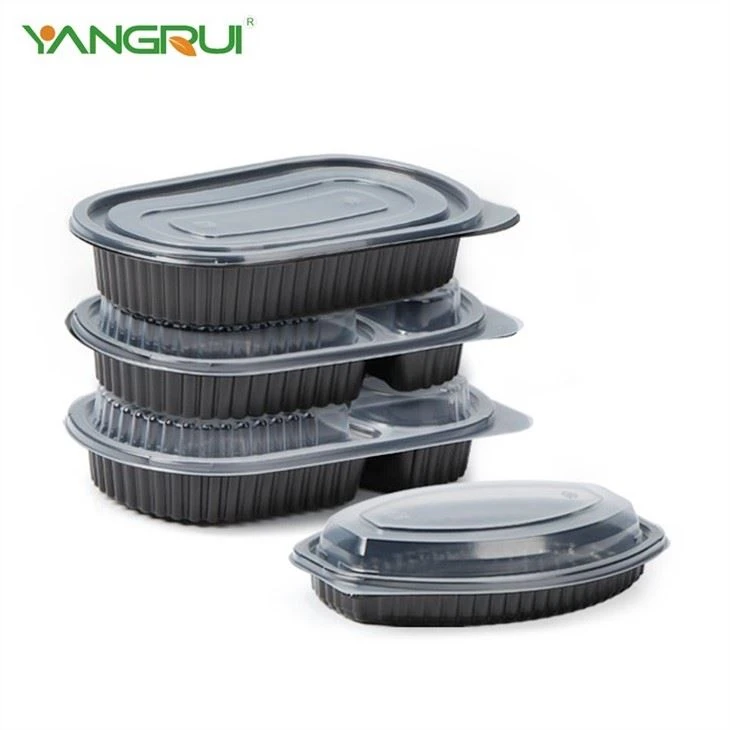 Food Bento Box