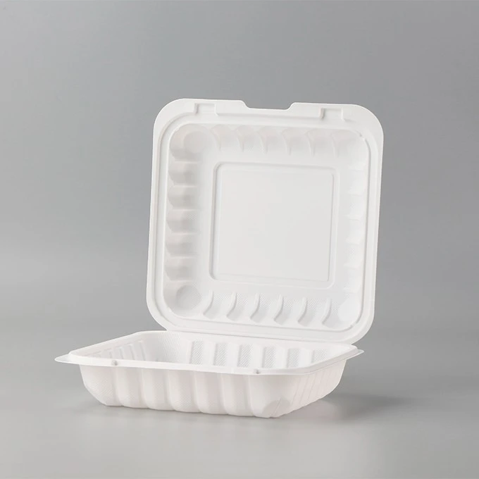 Plastic Lunch Box