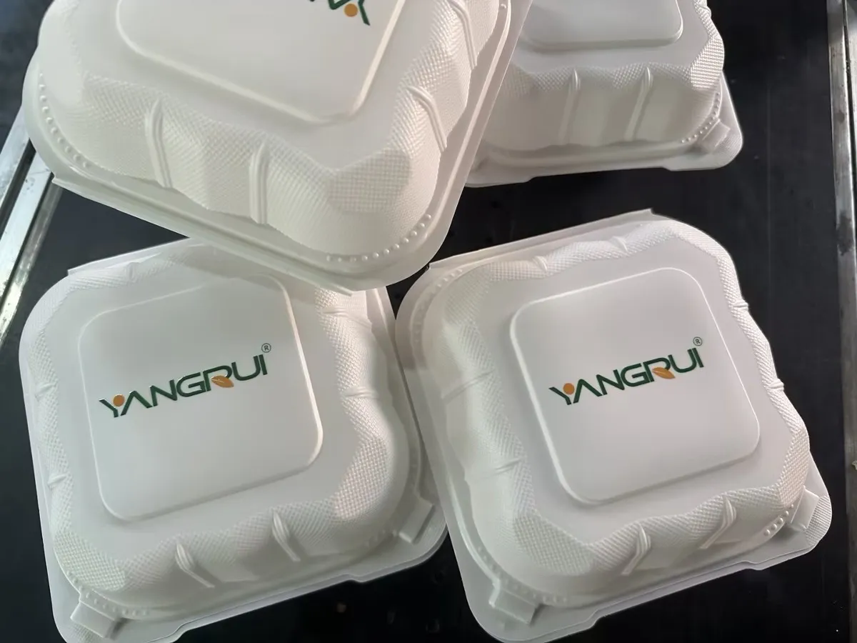 clamshell to go containers clamshell to go containers