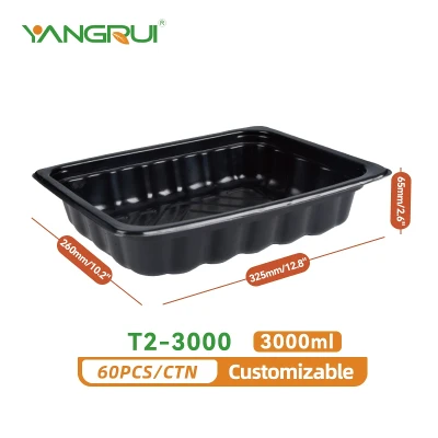 T2-3000 T2-3000