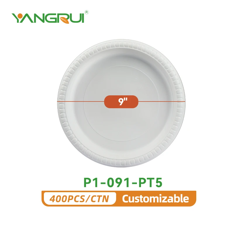 P1-091-PT5 P1-091-PT5