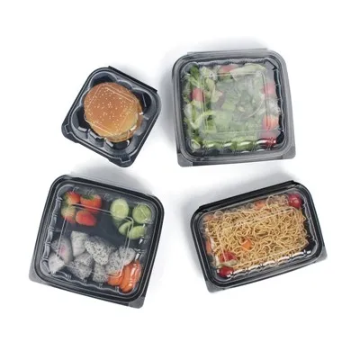 Plastic Container Takeout